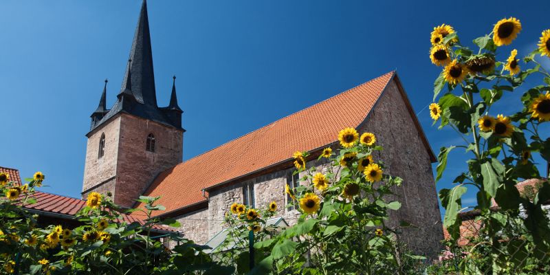DIe Martinikirche in Falken