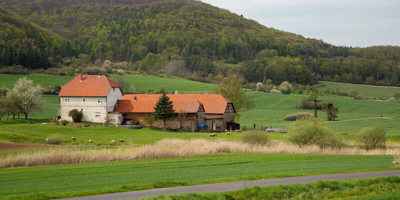 Gesamtansicht Hof Schrapfendorf bei Schnellmannshausen mit Feldern und Wald