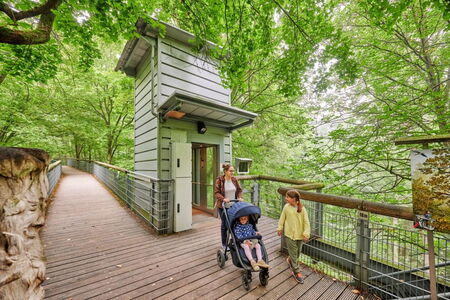 Familie vor dem Aufzug auf dem Baumkronenpfad im Nationalpark Hainich